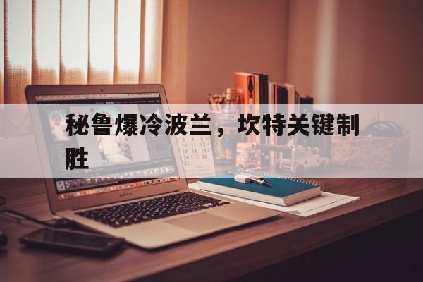 开云体育APP下载-关于秘鲁爆冷波兰，坎特关键制胜的信息