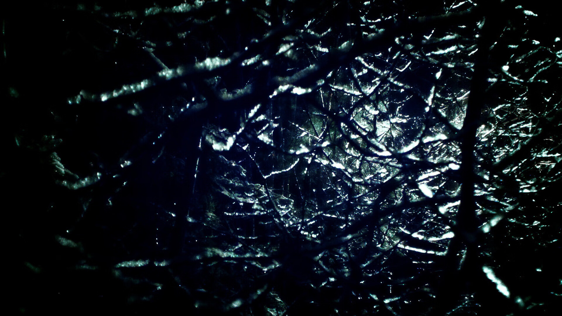 开云官网-稳如磐石的节奏掌控者，范弗利特诠释现代篮球的无声胜利