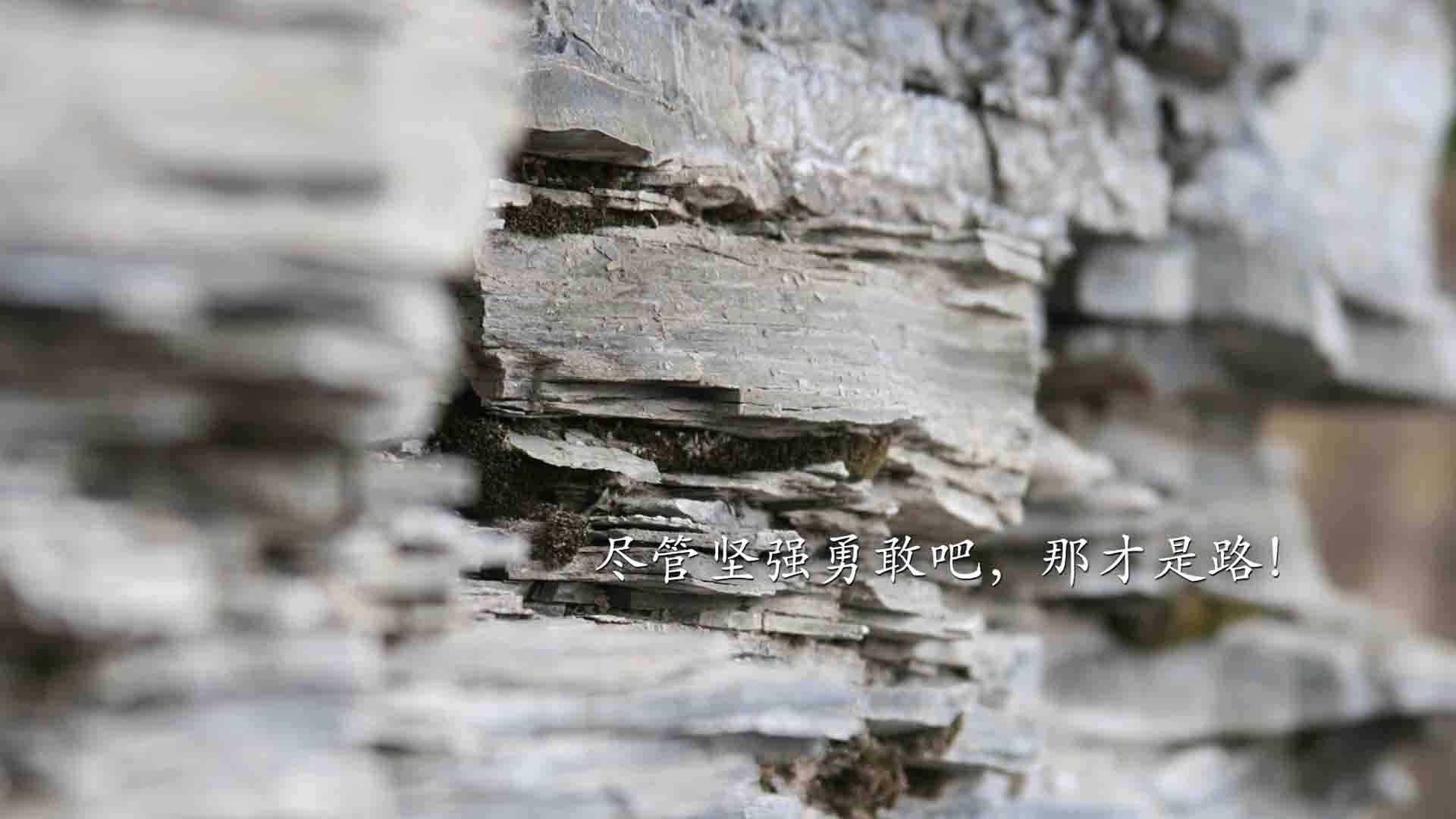 超级米切尔的生死一防，当关键先生定义巅峰对决