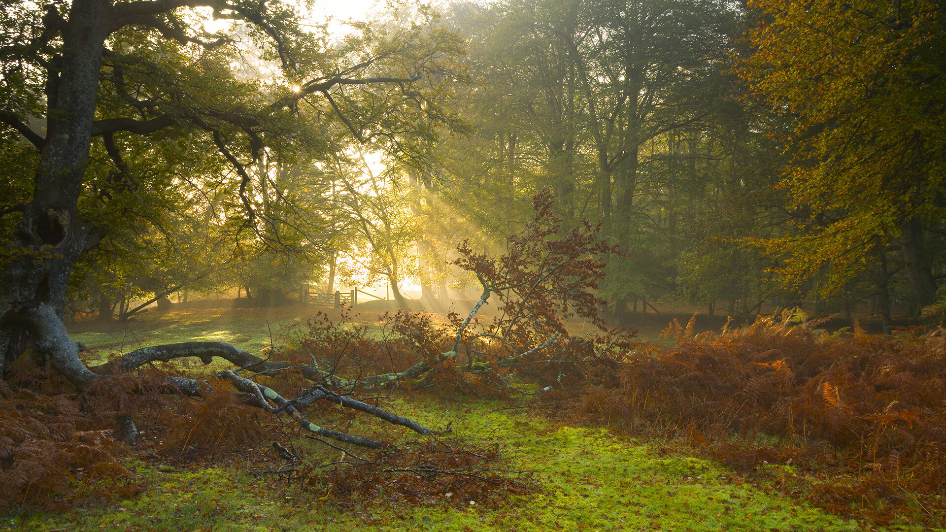 一剑封喉！米切尔惊天远射点燃欧冠之夜