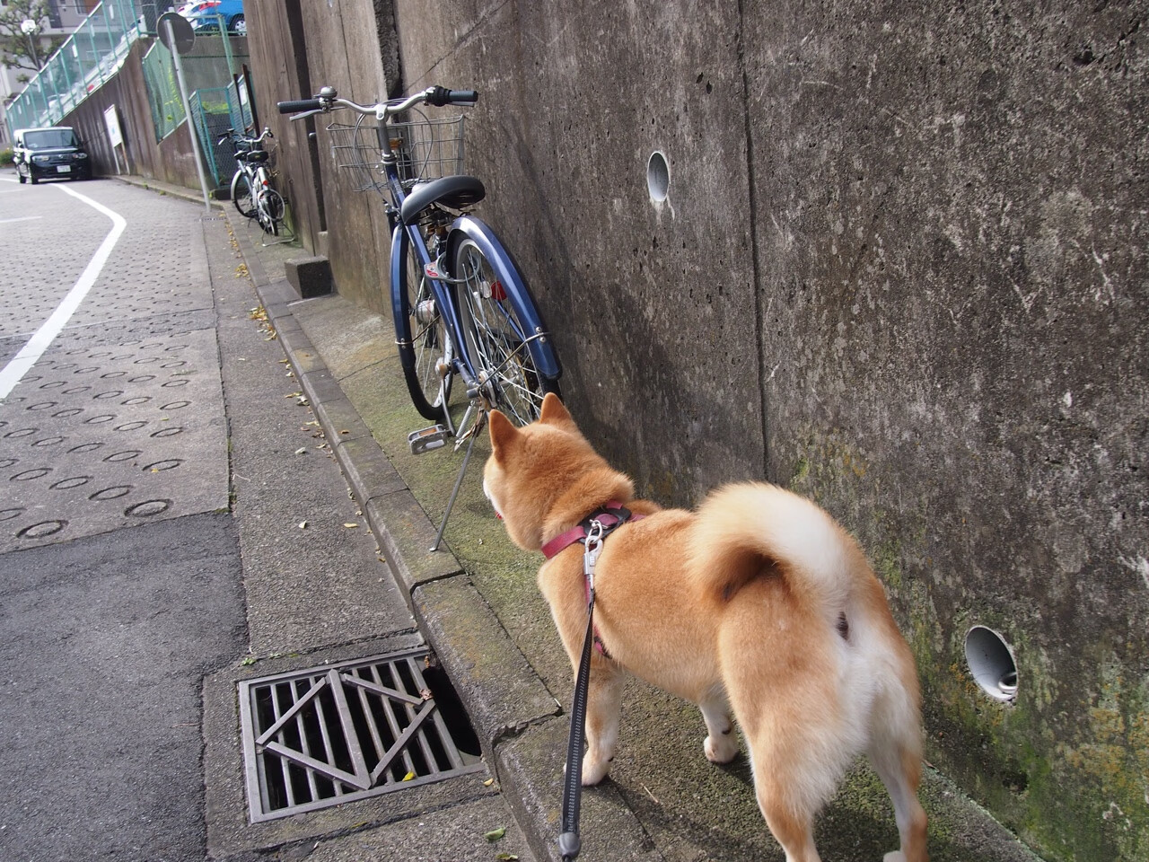 开云官网-从毕尔巴鄂到美加墨，巴雷拉如何以侵略性优雅接管比赛