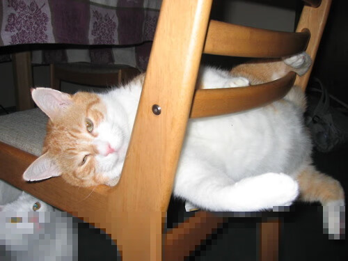 开云下载-当巴斯托尼跨越亚平宁，一位意大利中卫如何成为国家德比的末节之王