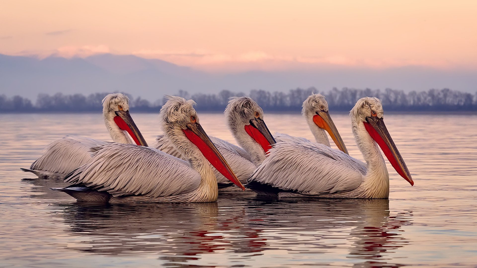 开云平台-永恒之战，当文明赛场化为时光竞技场