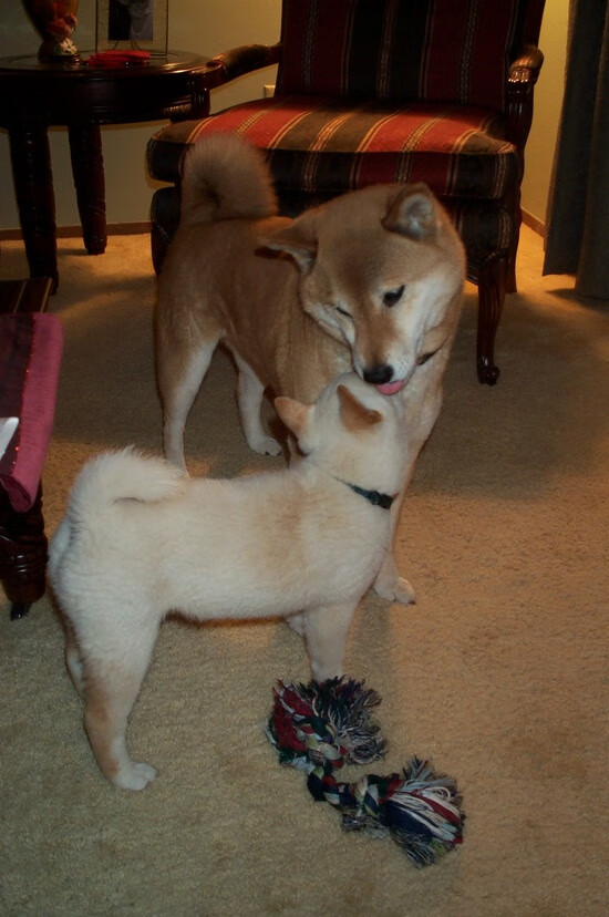 开云体育官网-大帝降临！恩比德砍下42+15率北京狂胜广东，终结对手十一连胜