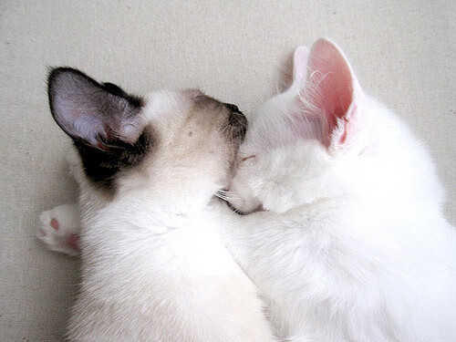 开云体育下载-英超争冠之夜，福登上演天神下凡统治级表演